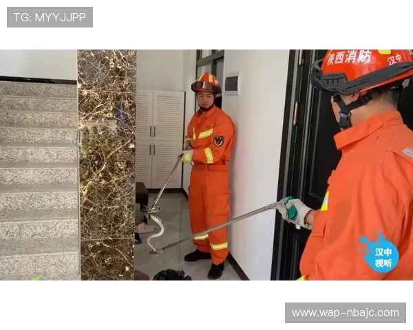 九游百家乐安全可靠吗？详细分析平台信誉与用户保障措施